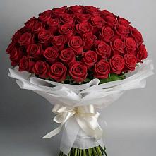 Букет 101 Красная роза Блэк Мэджик в Маришкино