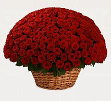 Премиум букет из: Розы в Маришкино